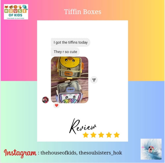 Tiffin Box and Bag Review