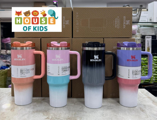 HOK Stanley x Tricolor Tumbler