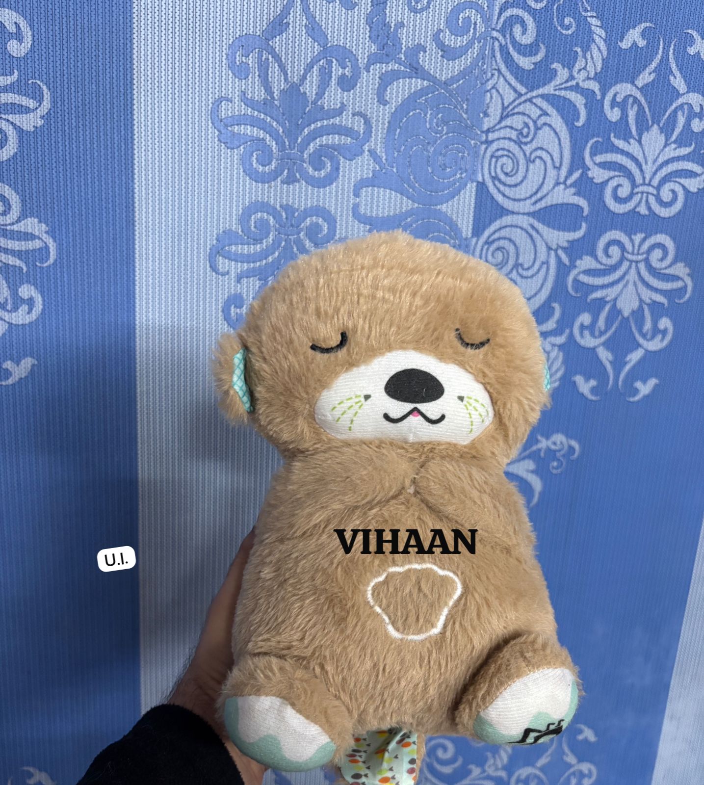 HOK Customized Breathing Teddy