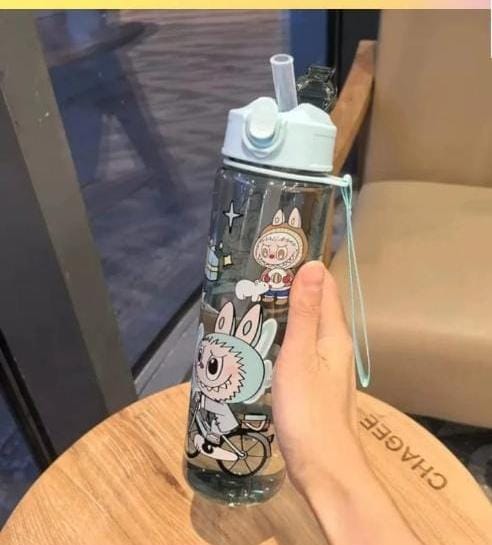 HOK 800ml Labubu Sipper Bottle