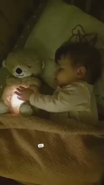 HOK Customized Breathing Teddy